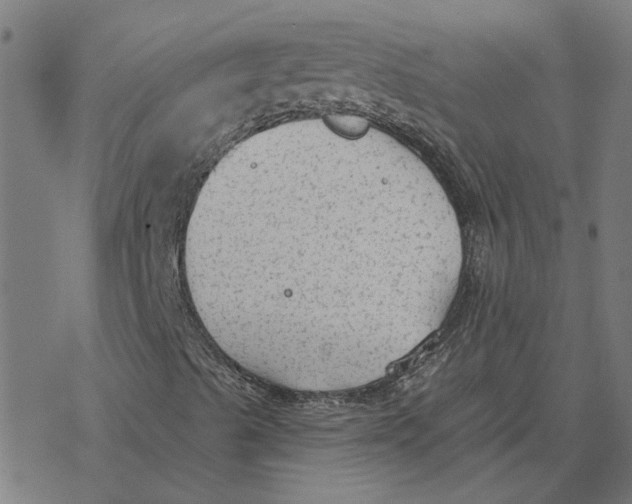 X0000077321489200611101445