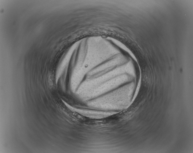 X0000077321490200611101445