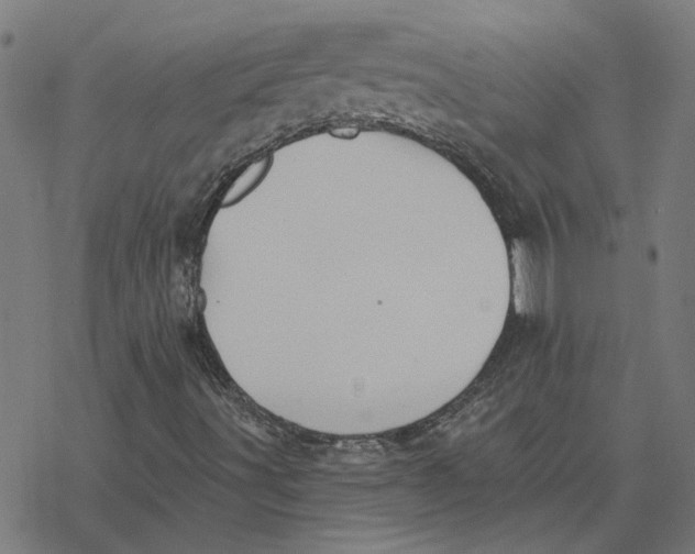 X0000077321491200611101445