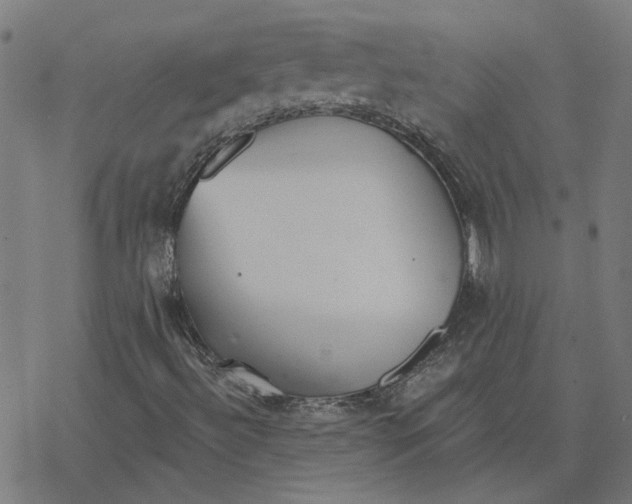 X0000077321492200611101445