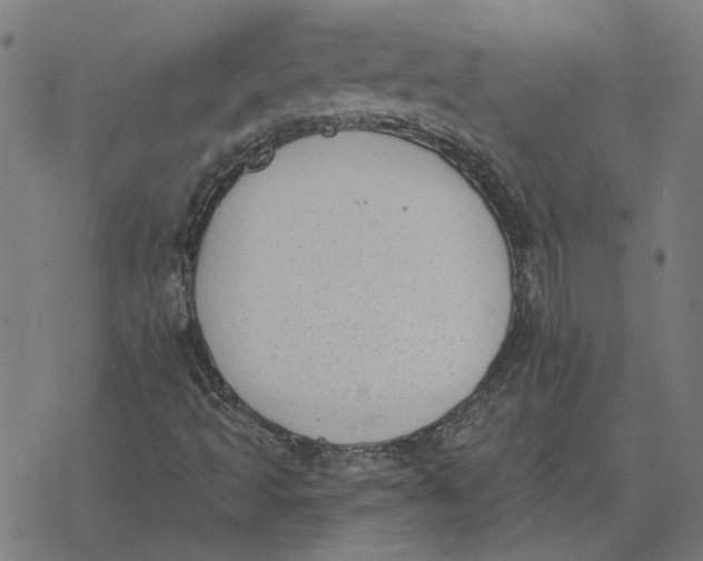 X0000077321493200611101445