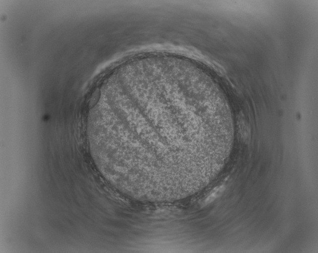 X0000077321494200611101445