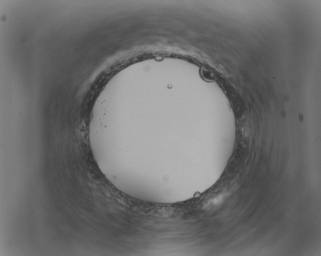 X0000077321495200611101445