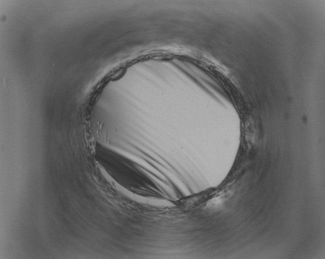 X0000077321496200611101445