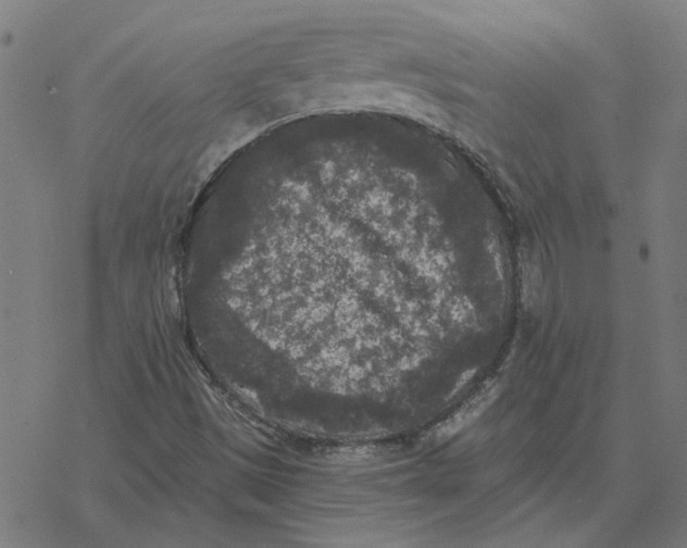 X0000077321497200611101445