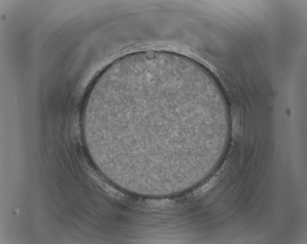 X0000077321498200611101445