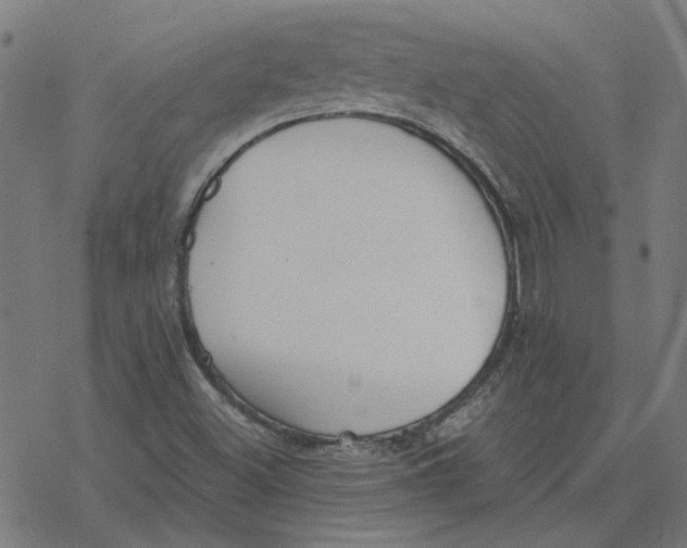 X0000077321500200611101445