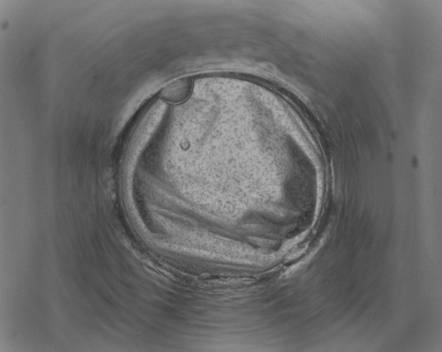 X0000077321501200611101445