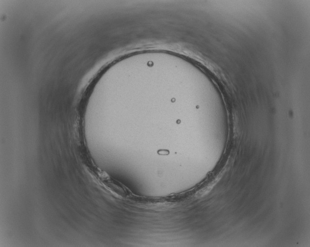 X0000077321502200611101445