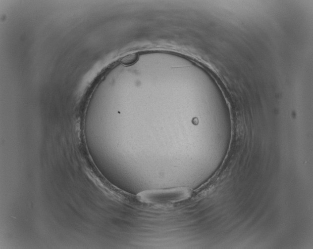 X0000077321503200611101445