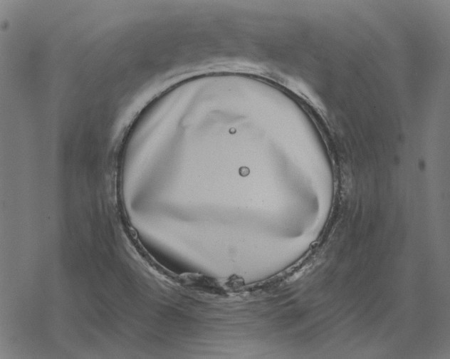 X0000077321504200611101445