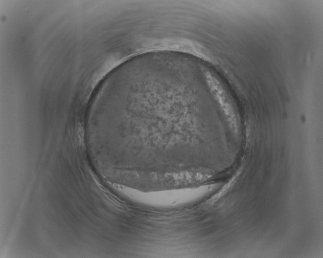 X0000077321505200611101445