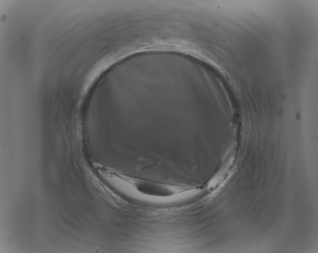 X0000077321506200611101445