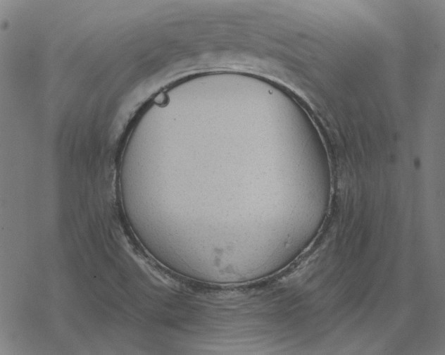 X0000077321507200611101445