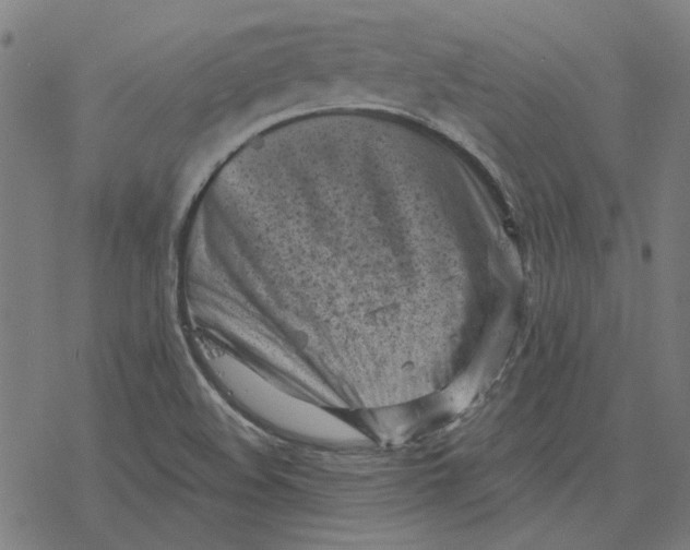 X0000077321508200611101445