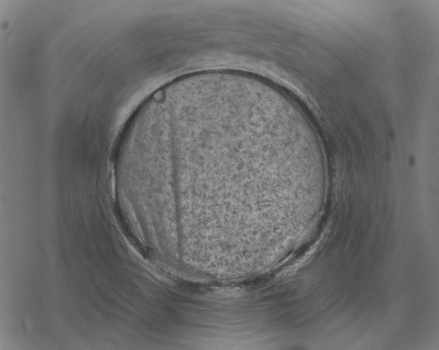 X0000077321509200611101445