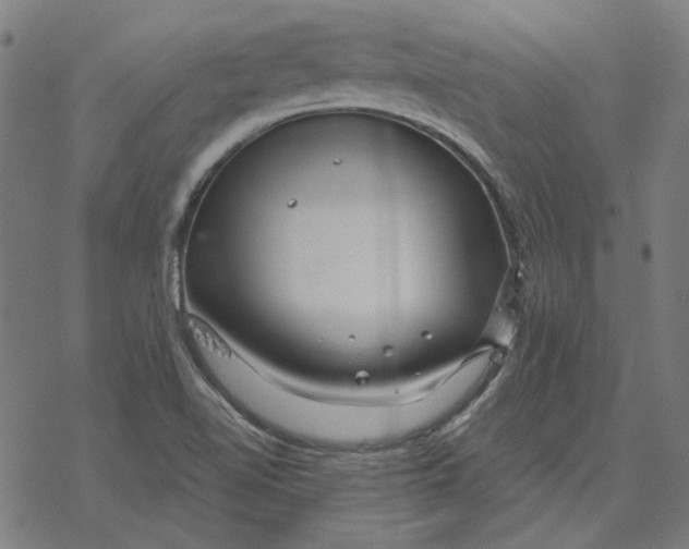 X0000077321510200611101445