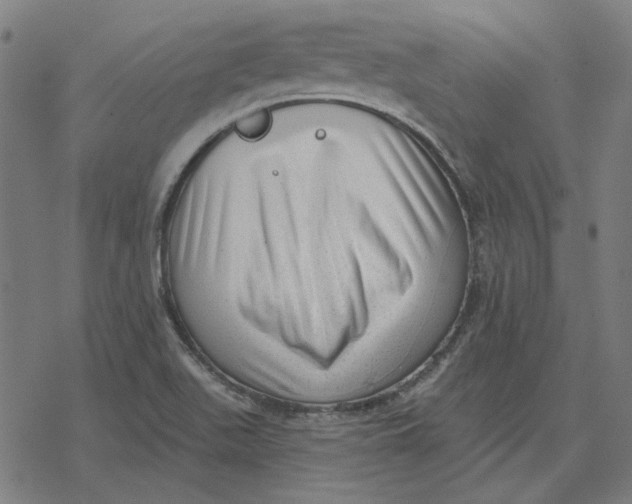 X0000077321511200611101445