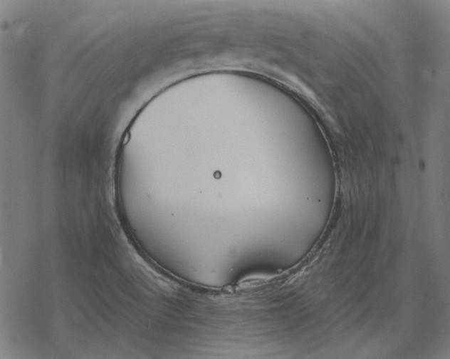 X0000077321512200611101445