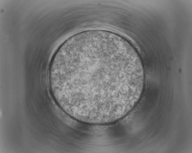 X0000077321514200611101445