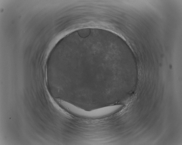 X0000077321515200611101445