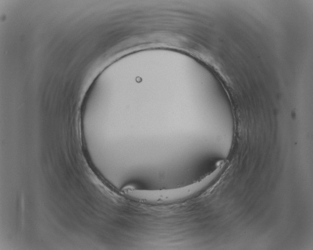 X0000077321516200611101445