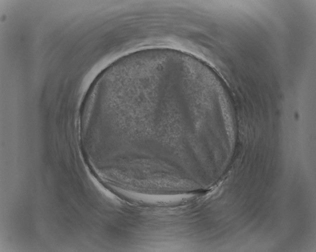 X0000077321519200611101445