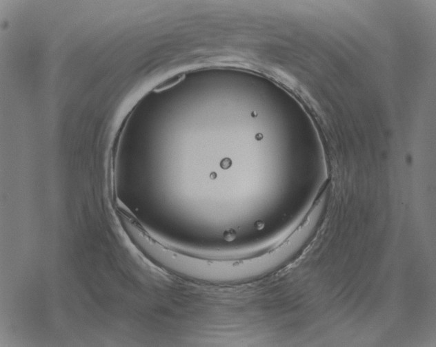 X0000077321520200611101445