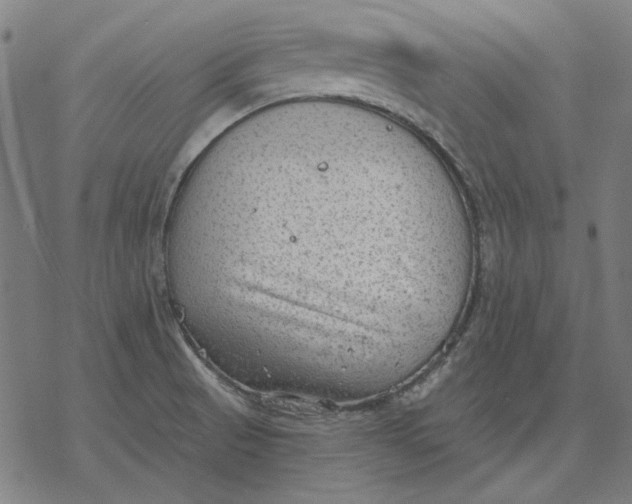 X0000077321521200611101445