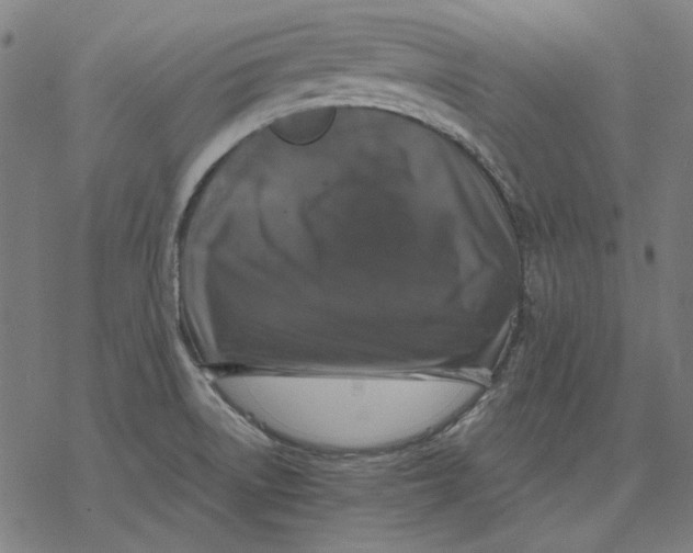 X0000077321522200611101445