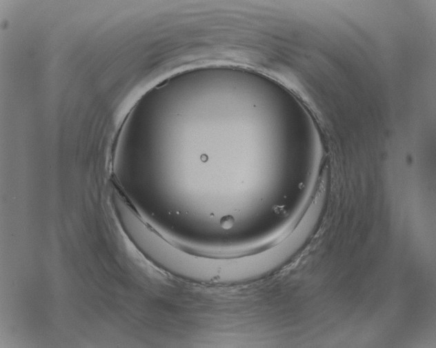 X0000077321524200611101445