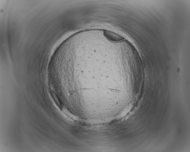 X0000077321525200611101445