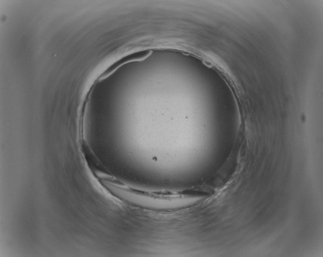 X0000077321528200611101445