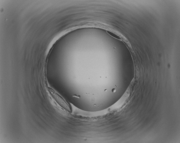 X0000077321530200611101445