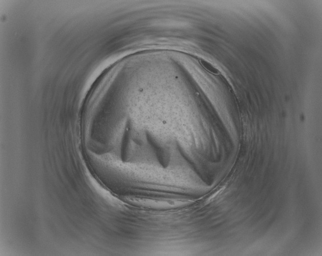 X0000077321531200611101445