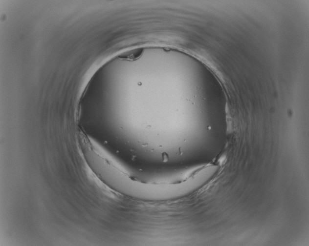 X0000077321532200611101445