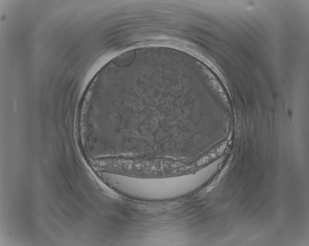 X0000077321533200611101445