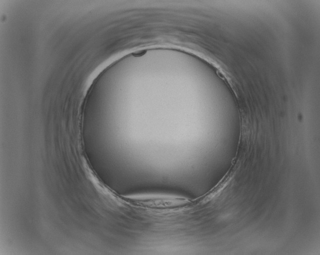 X0000077321534200611101445