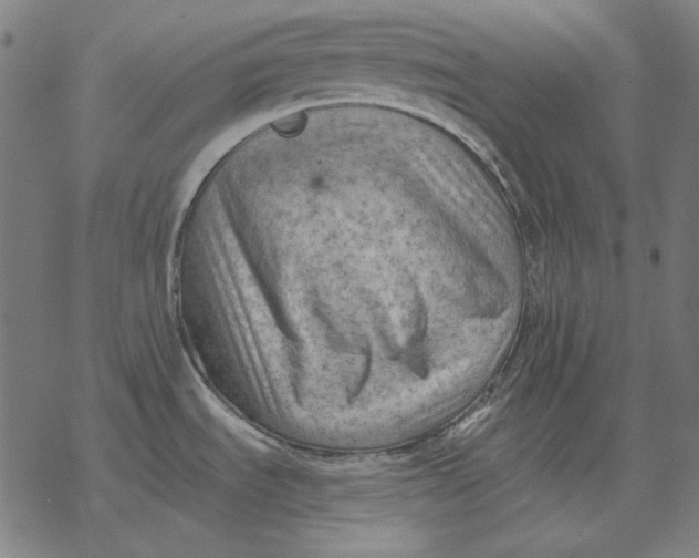 X0000077321535200611101445