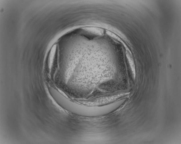 X0000077321536200611101445