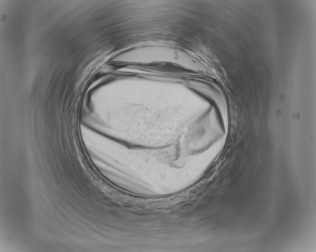 X0000077320001200611171754