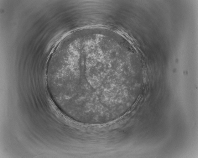 X0000077320002200611171754