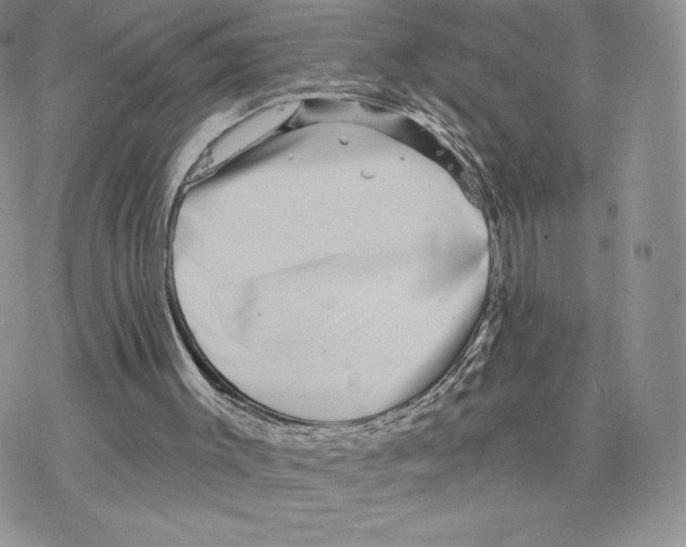 X0000077320003200611171754