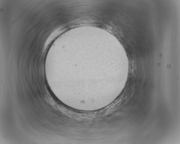 X0000077320004200611171754