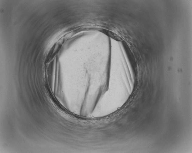 X0000077320005200611171754