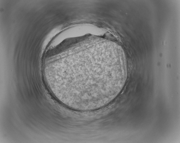 X0000077320006200611171754