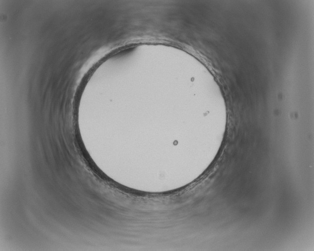 X0000077320008200611171754