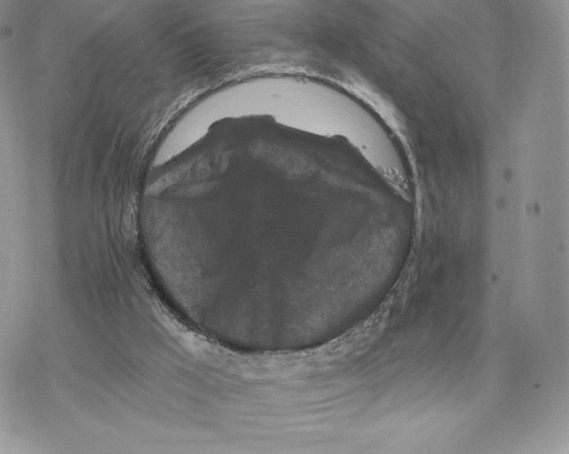 X0000077320009200611171754