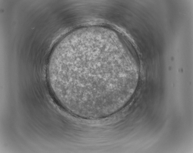 X0000077320010200611171754