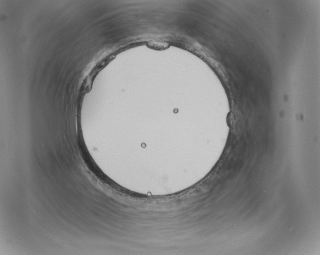 X0000077320011200611171754